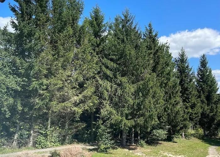 Lunatykowa Hébergement de vacances Giebultow (Lwowek Slaski)